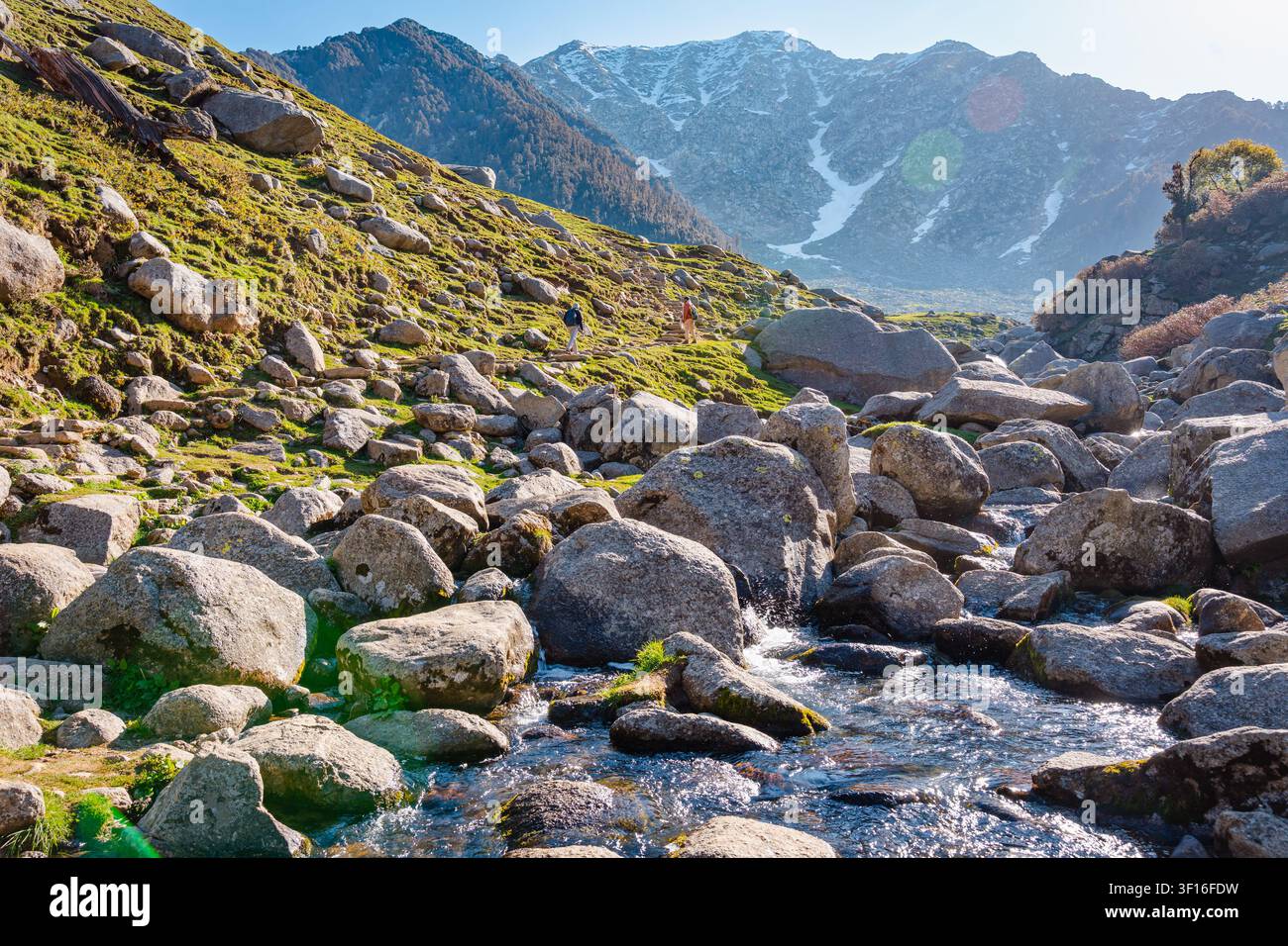 Un ruisseau de montagne clair coule sur des rochers avec une colline verdoyante et des sommets enneigés en arrière-plan. Banque D'Images