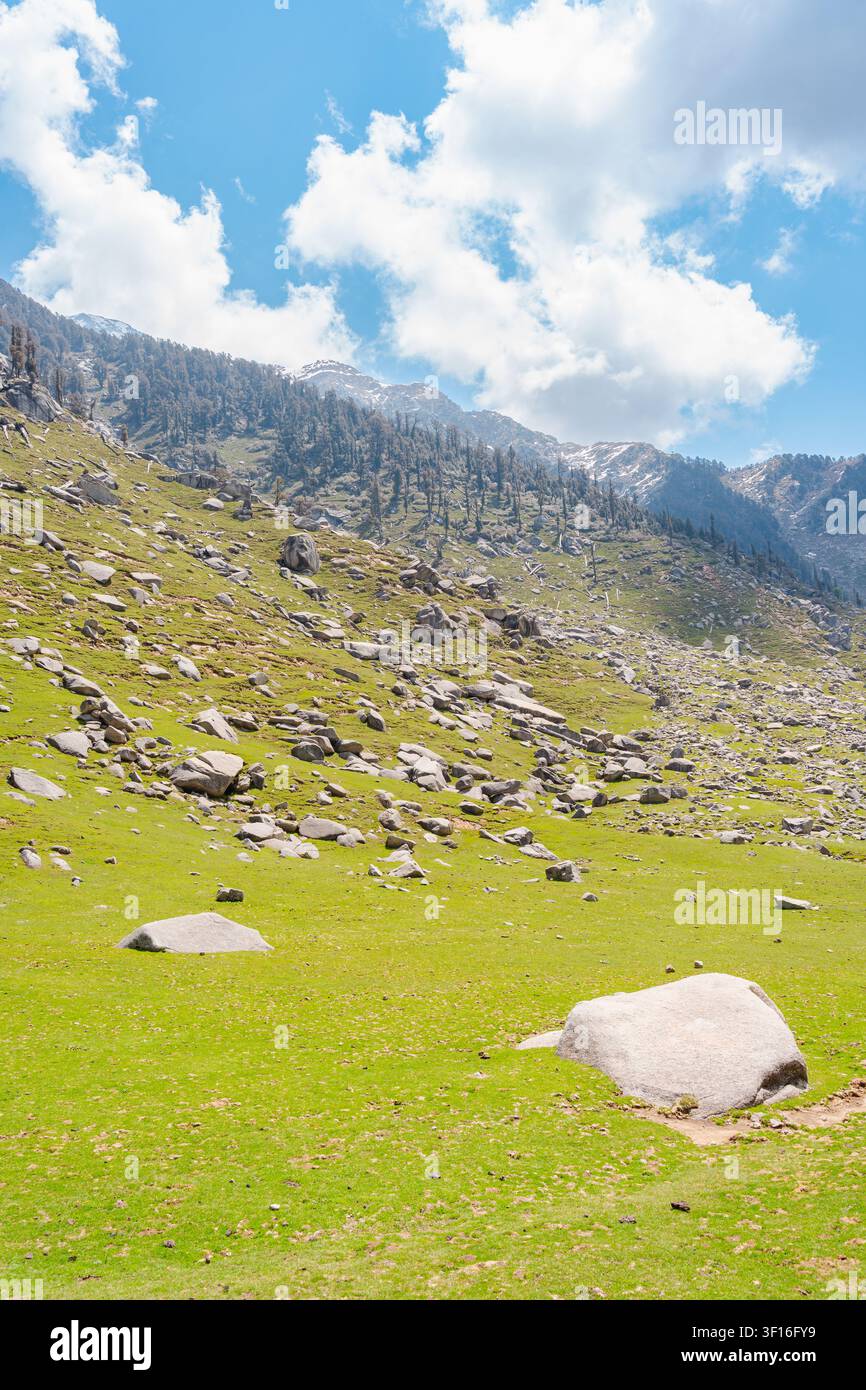 Une vue pittoresque des pentes montagneuses luxuriantes et vertes couvertes de rochers éparpillés au lac Kareri dans l'Himachal Pradesh. Banque D'Images