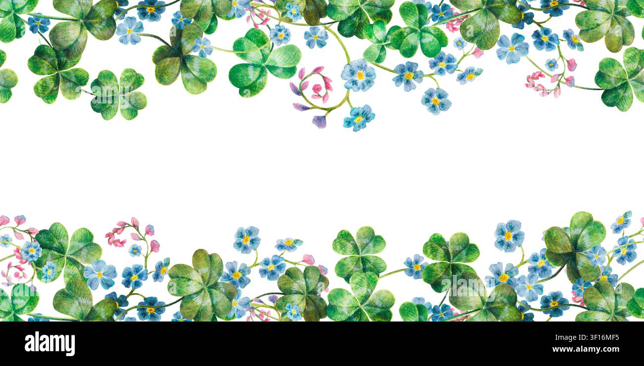 Bordure double sans couture avec des trèfles vertes, des myosotis bleus en haut et en bas, art aquarellé dessiné à la main. Cadre irlandais répétitif pour la Saint-Patrick Banque D'Images