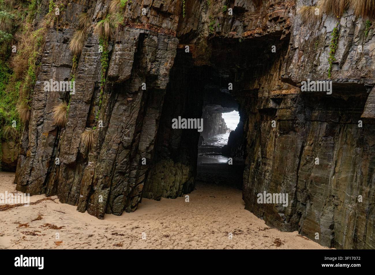 Grotte remarquable à Port Arthur, Tasmanie, Australie Banque D'Images