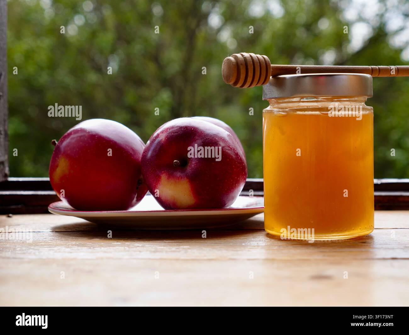 Un pot en verre de miel doux frais avec un arroseur en bois sur le dessus, à côté de pommes rouges mûres sur une assiette. Nature morte rustique sur un rebord de fenêtre en bois Banque D'Images