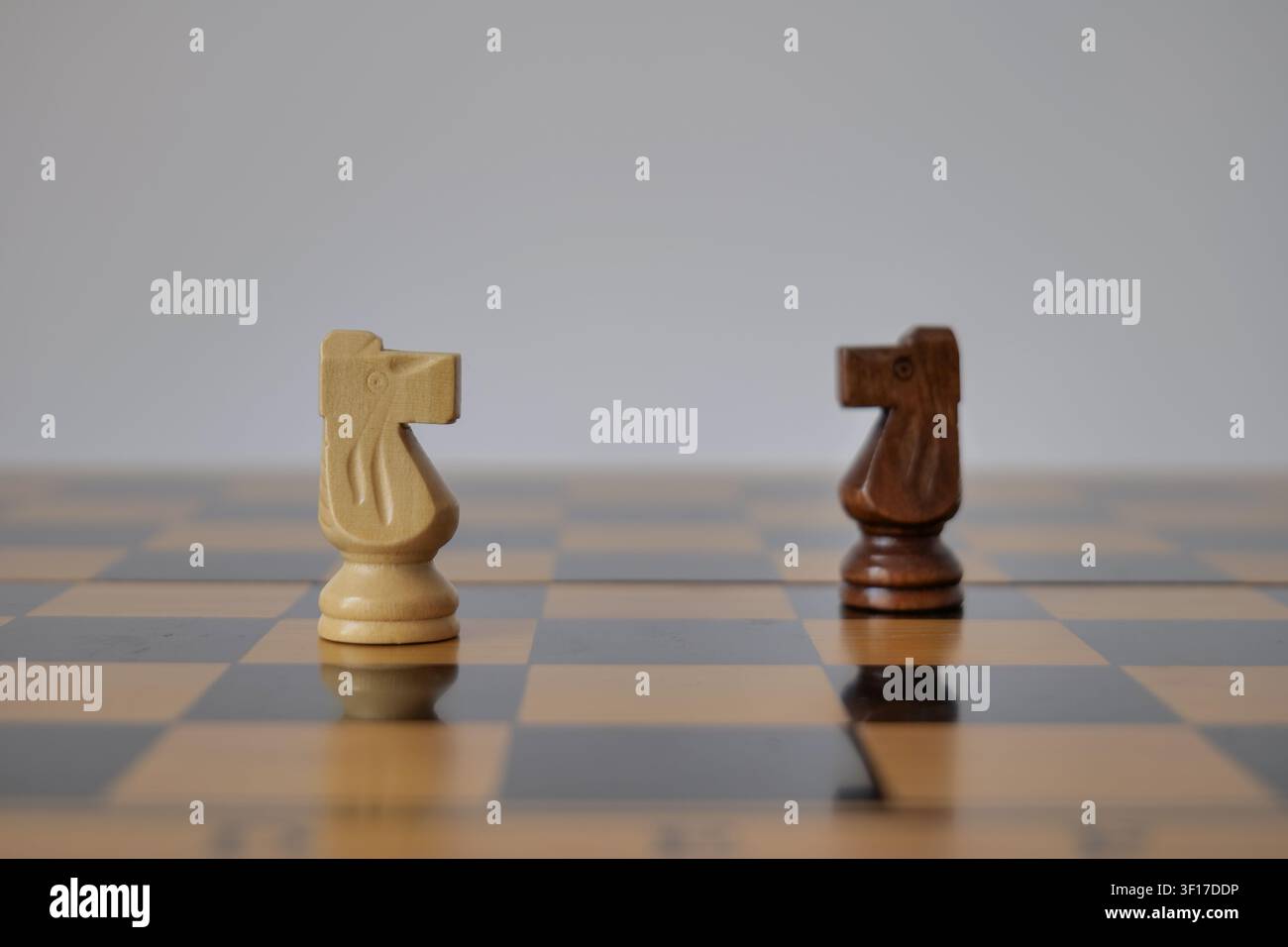 Pièces d'échecs blanches et noires se faisant face Banque D'Images
