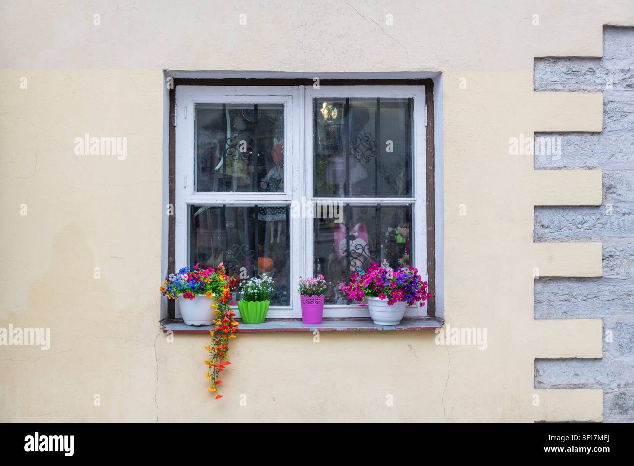 Petite fenêtre avec des plantes grimpantes colorées sur le rebord de la fenêtre, Tallin, Estonie Banque D'Images