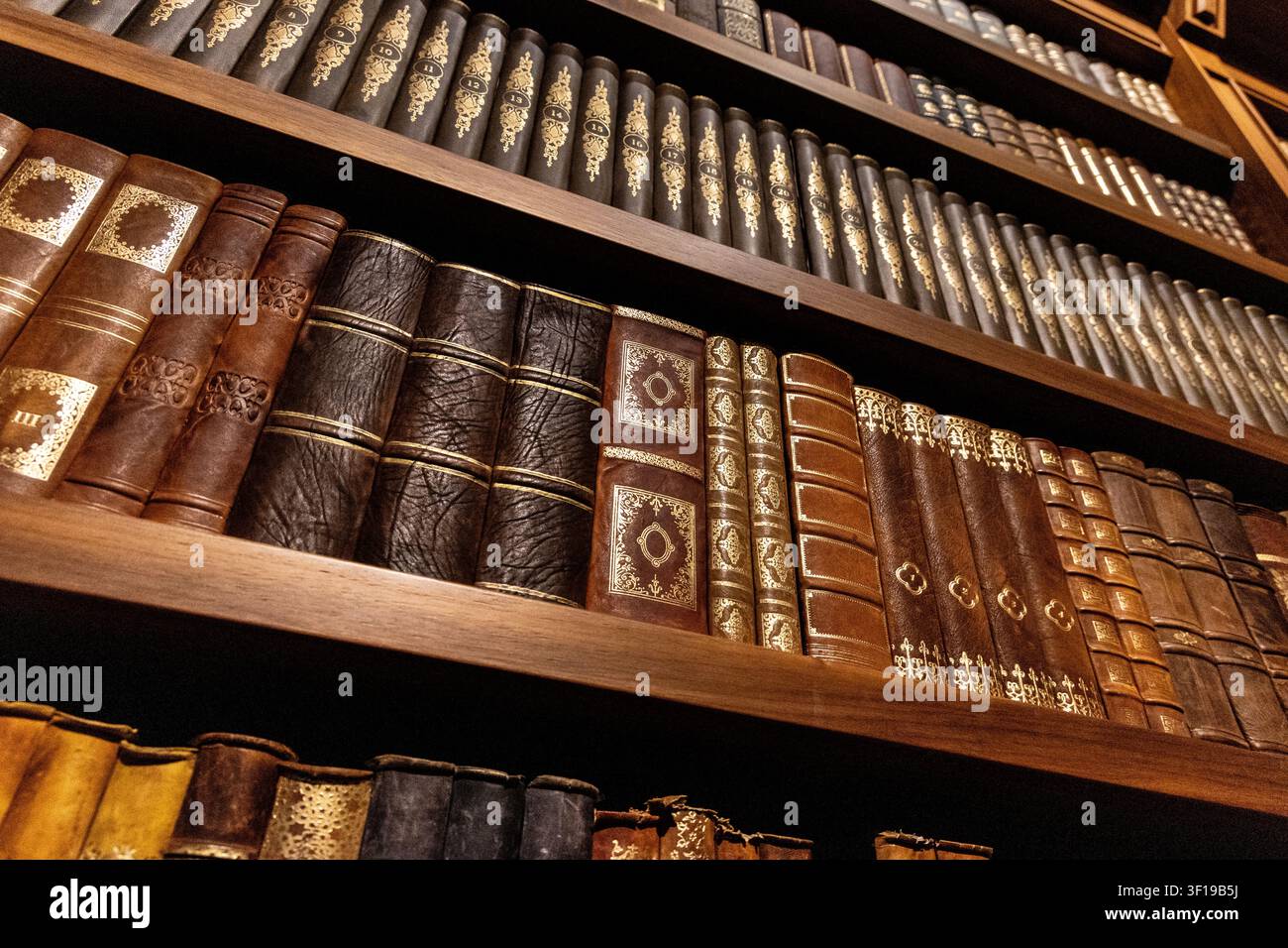 Anciens volumes reliés en cuir sur une étagère de livres Banque D'Images