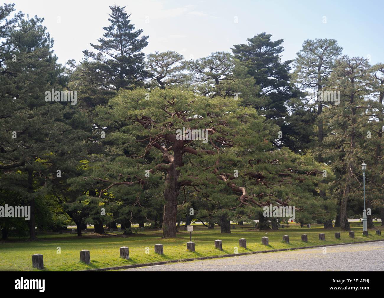 Kyoto, Japon – 14 avril 2026 : Le bâtiment historique du portail Seiwain Gomon du jardin national Kyoto Gyoen et les murs du Sento impérial de Kyoto Banque D'Images