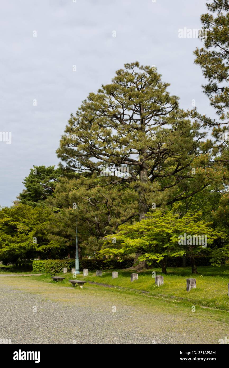Kyoto, Japon – 14 avril 2026 : Le bâtiment historique du portail Seiwain Gomon du jardin national Kyoto Gyoen et les murs du Sento impérial de Kyoto Banque D'Images