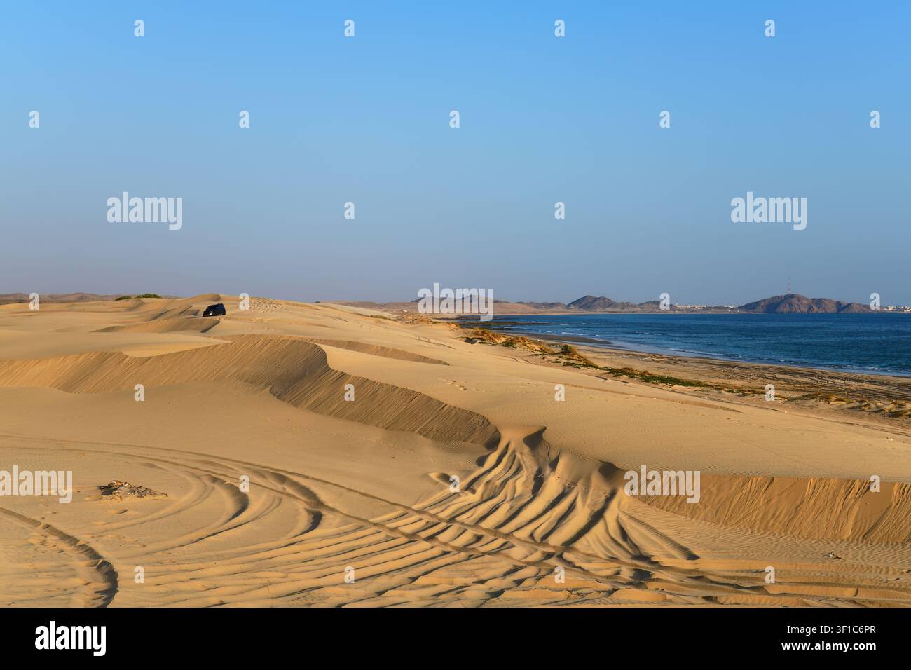 Zone de sable marin, Sultanat d'Oman. 4x4 voiture hors route dans les dunes au coucher du soleil, Salalah, gouvernorat de Dhofar. Péninsule arabique Banque D'Images