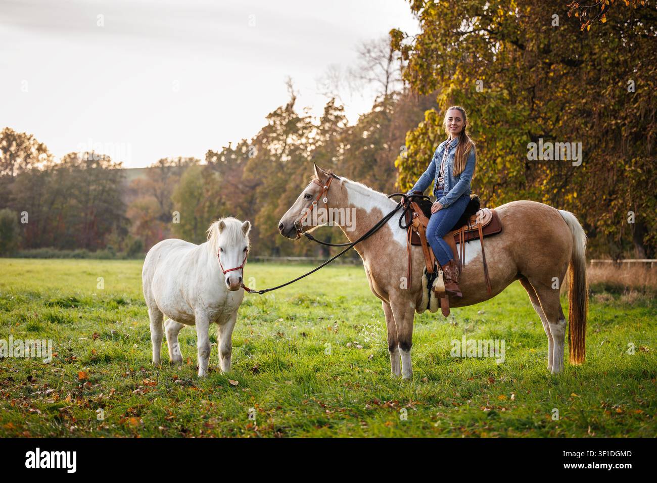 Ranchère montant un cheval et tenant les rênes d’un petit poney blanc sur le pâturage. Routine quotidienne lors du travail à la ferme animale Banque D'Images