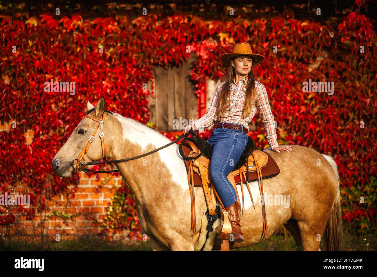 Portrait d'une cow-girl sur un cheval près d'une étable recouverte de lierre rouge sur un ranch en automne. Femme portant des vêtements western et un chapeau de cowboy Banque D'Images