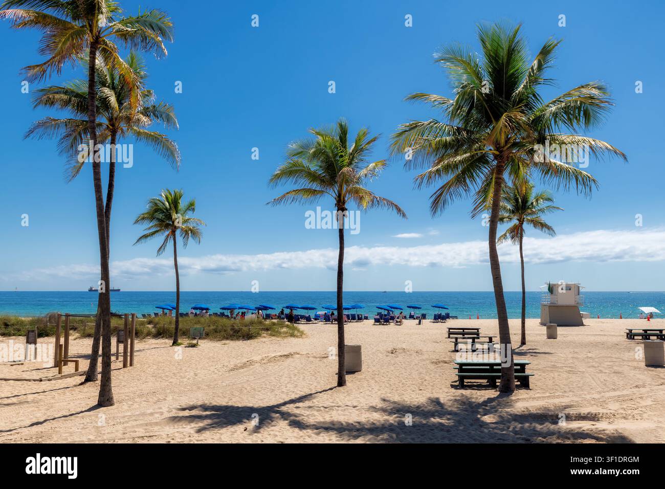 Plage tropicale de palmiers avec palmiers, parasols de plage et mer tropicale à Miami Beach, Floride Banque D'Images