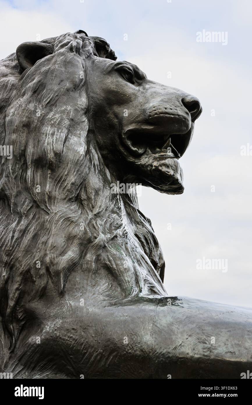 Londres, Royaume-Uni - 1er avril 2026 ; Gros plan d'une statue de lion sur Trafalgar Square sculptée par l'artiste Sir Edwin Landseer Banque D'Images