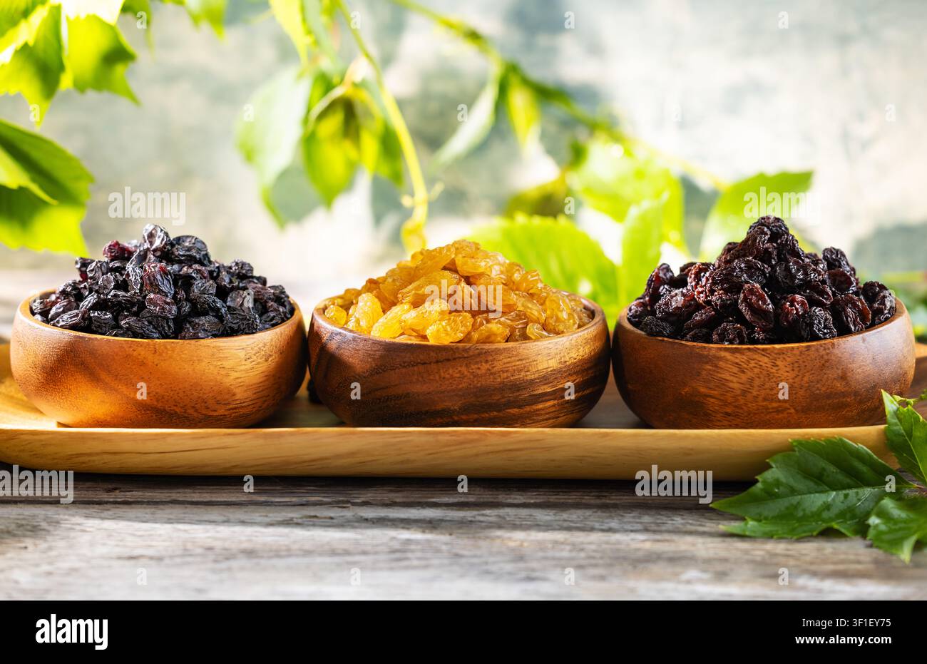 Assortiment de raisins secs avec des raisins secs dorés noirs et rouge foncé dans des bols en bois comme en-cas de fruits secs sains avec des feuilles de raisin Banque D'Images