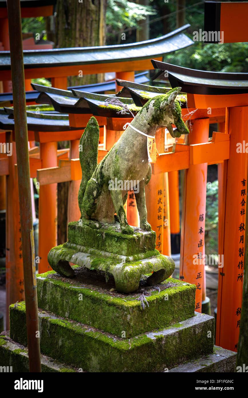 Statue de renard kitsune Fushimi Inari Taisha Kyoto 2026 Banque D'Images
