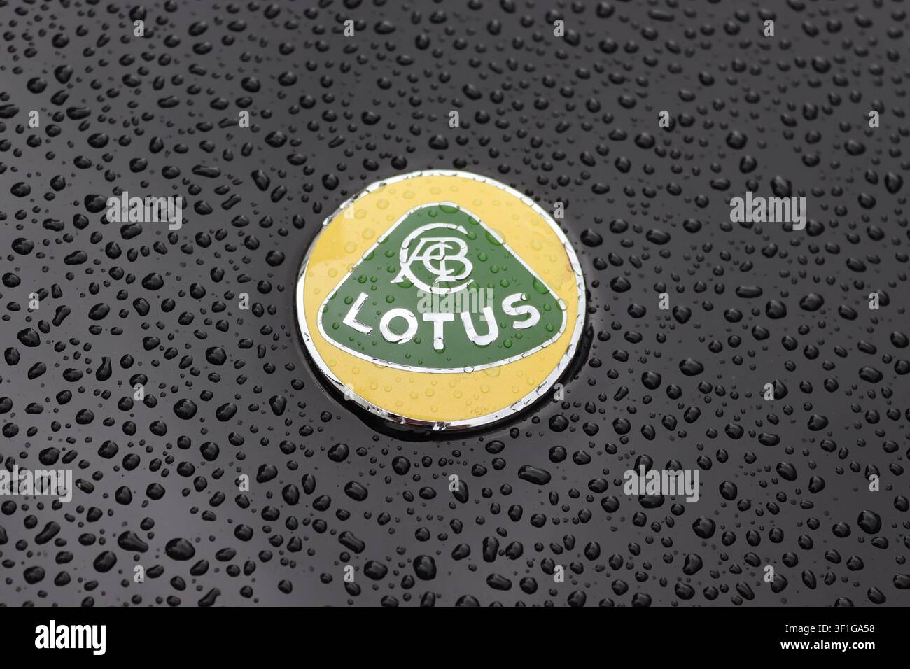 Close-up de l'emblème célèbre des voitures Lotus fixé sur une Lotus Europa noire aux couleurs JPS, recouverte de gouttes de pluie. Banque D'Images