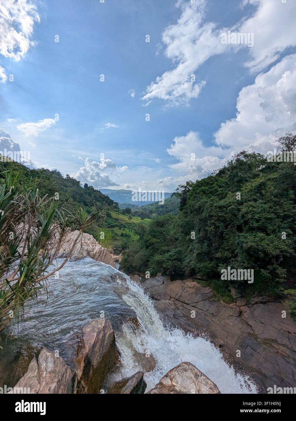 Vue à couper le souffle depuis le sommet d'une cascade surplombant une vallée verdoyante - Image de stock capturée avec un smartphone