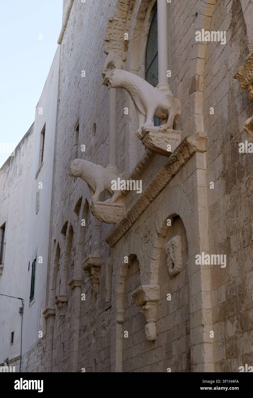 Extérieur de la cathédrale de Trani montrant des détails de sculptures sur pierre anciennes de lions et de gargouilles sur les éléments architecturaux des murs. Italie, Pouilles, Molfett Banque D'Images
