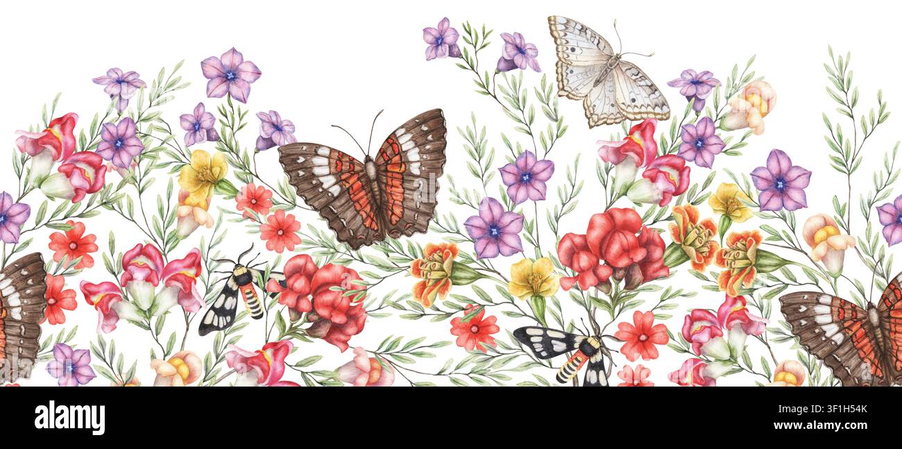 Fleur sauvage avec papillons paons blancs et bruns bordure inférieure sans couture illustration aquarellée. Insecte dessiné à la main avec feuille verte. Design floral pour carte d'été rustique. Modèle répété botanique. Banque D'Images