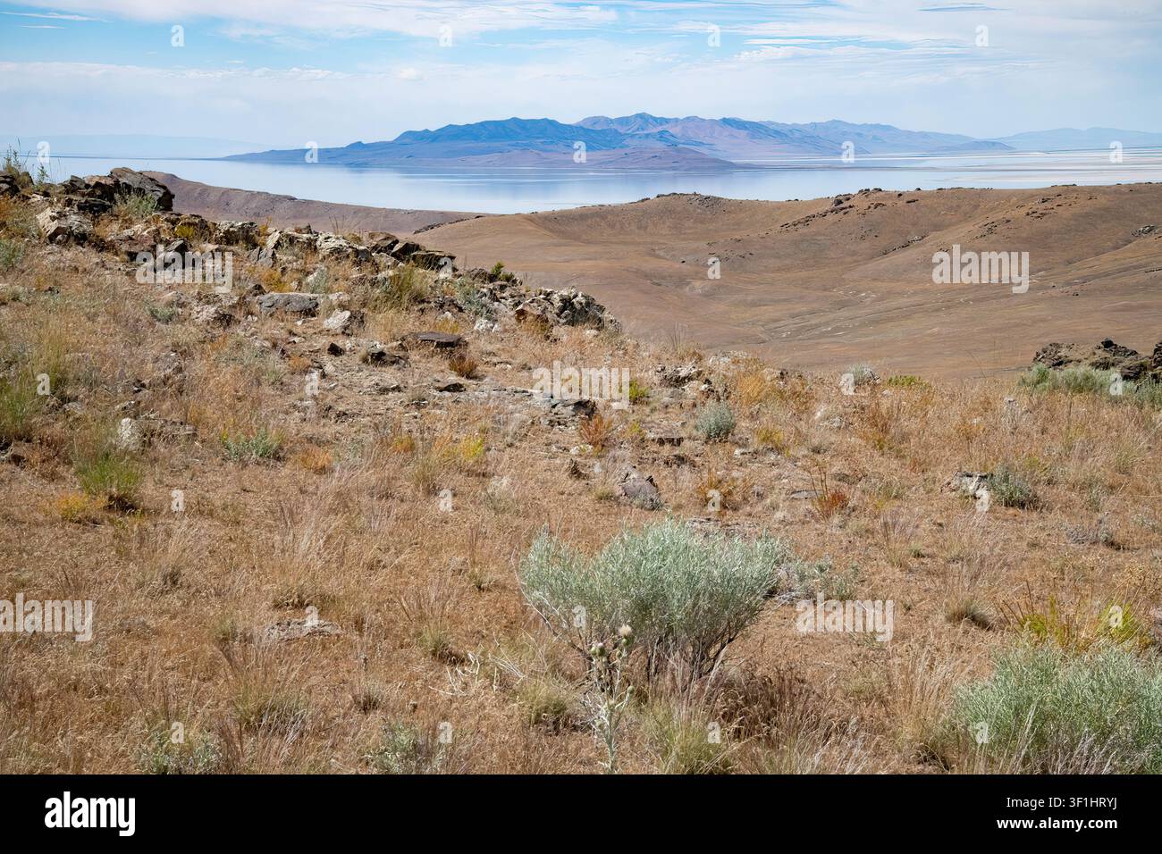 Sentier Dooly Knob, Parc d'État de l'Île des Antilopes, Utah Banque D'Images