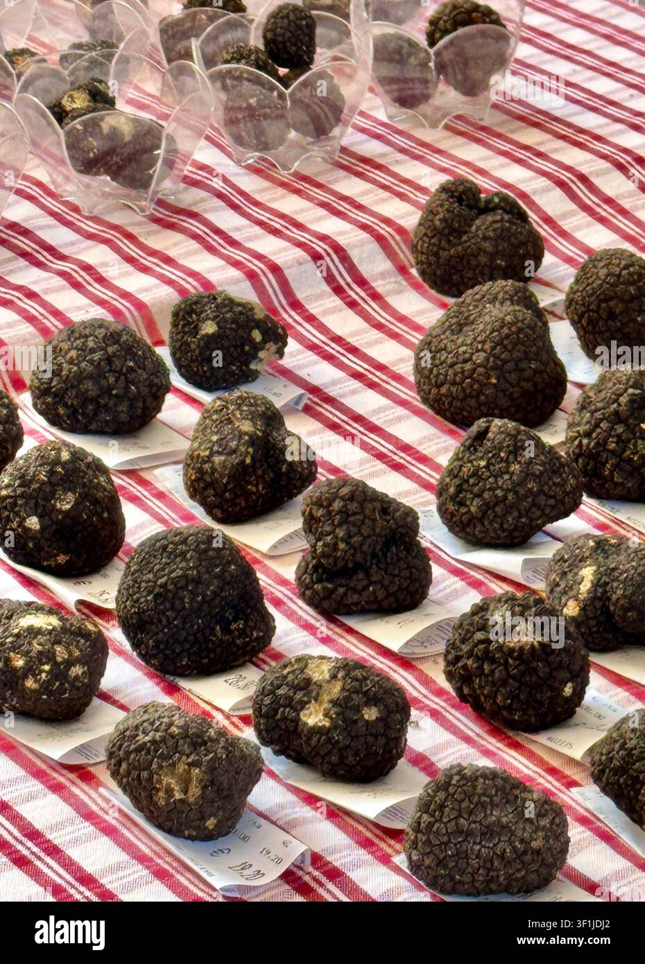 Truffes noires moins chères et moins désirables à la foire internationale du blanc truffe d'Alba au Piémont, Italie Banque D'Images