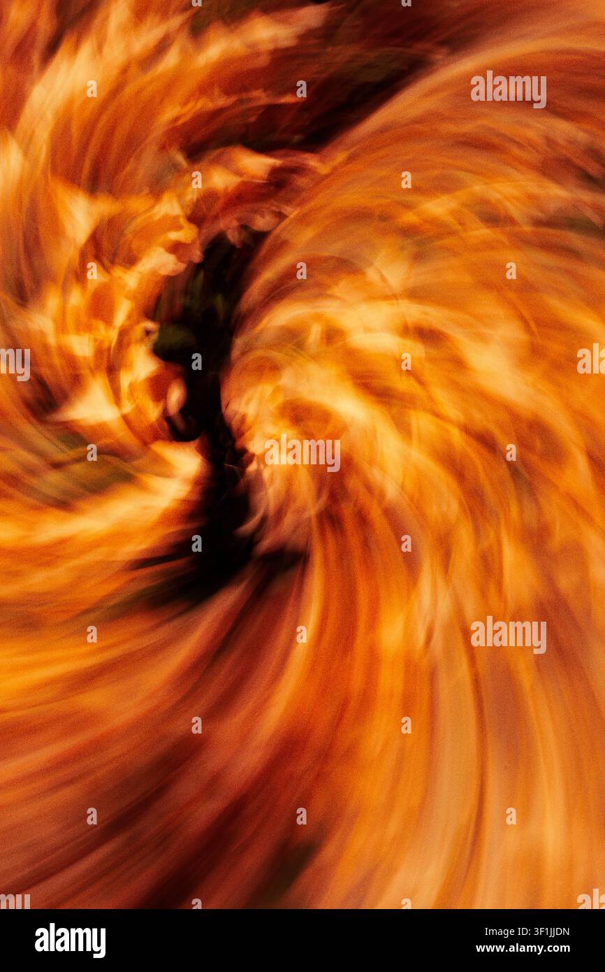 Mouvement flou tourbillonnant abstrait dans des tons ambrés et orange chauds créant un effet de vortex dynamique Banque D'Images