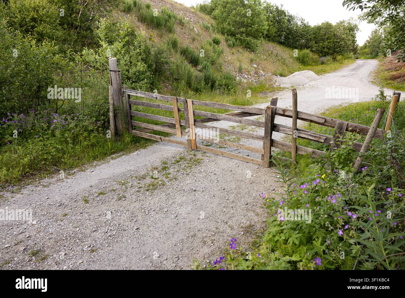 Une porte en bois rustique bloque le chemin de gravier à travers la verdure. La végétation ondule doucement à côté des poteaux de clôture usés. Des fleurs violettes fleurissent à proximité, ajoutant une touche douce Banque D'Images