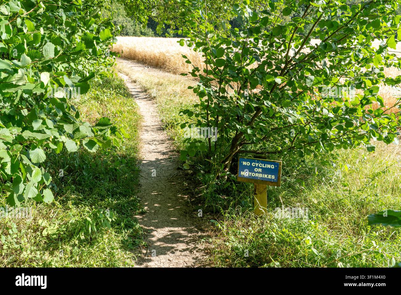 Chemin en lisière de forêt avec panneau interdisant le cyclisme et les motos Banque D'Images