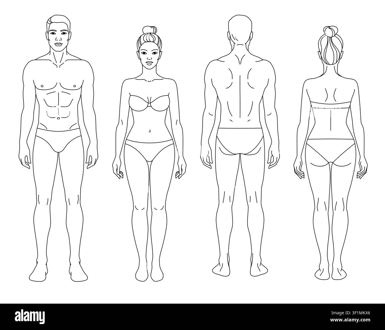 Modèles professionnels d'anatomie corporelle masculine et féminine présentant des vues avant et arrière dans un style de contour épuré. Ensemble de figures humaines vectorielles conçu pour Medi Illustration de Vecteur