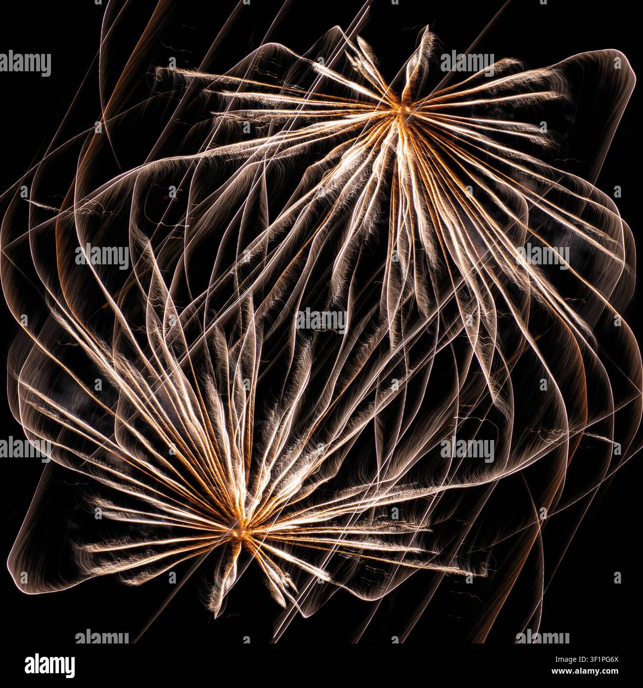 Feux d'artifice en mouvement Banque D'Images