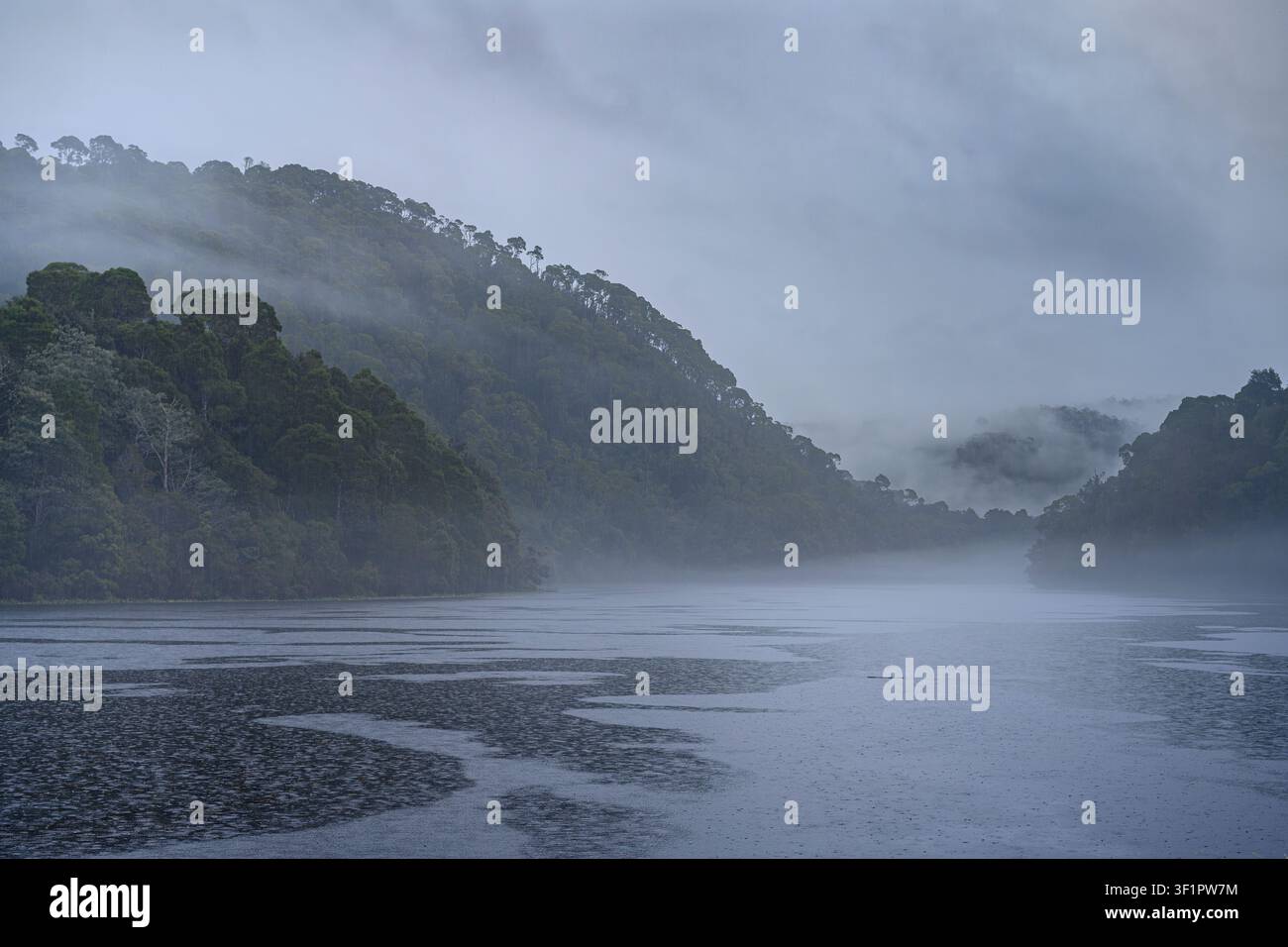 Pluie matinale et brouillard sur la rivière Pieman à Corinna, Tasmanie, Australie. Banque D'Images