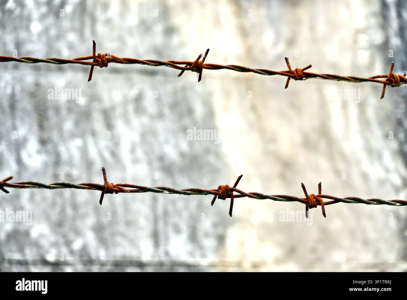 Un fil de fer barbelé rouillé créant une barrière solide, concept de restriction, de sécurité, de prison et de limite contre un mur flou Banque D'Images