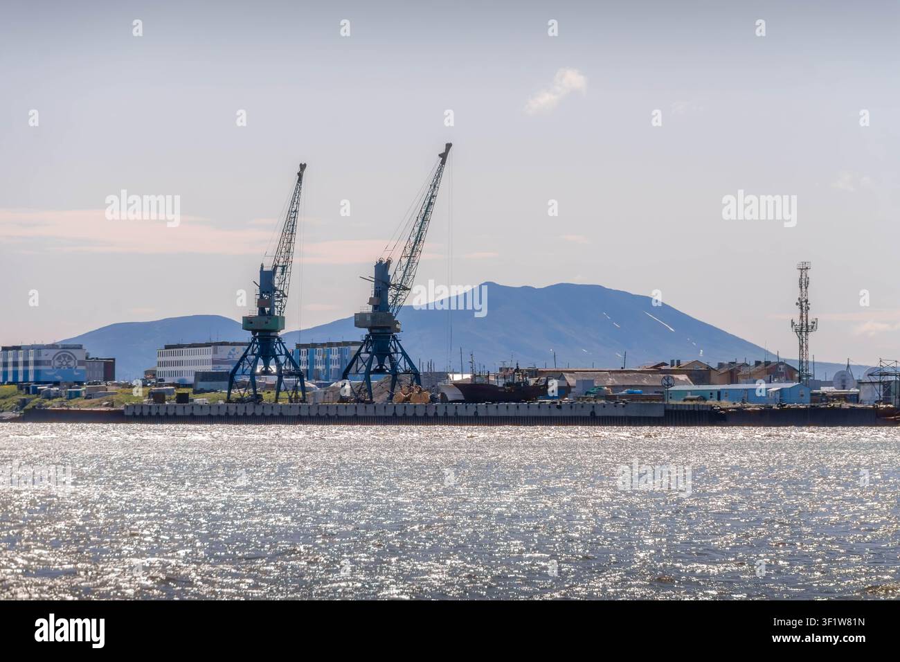 Grues dans le port d'Anadyr, péninsule russe de Tchoukotka sur la côte de la mer de Béring Banque D'Images