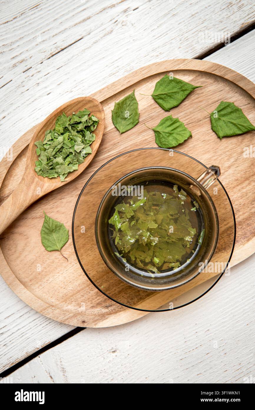 Boisson de thé en poudre de feuilles de bouleau séchées dans une tasse en verre, poudre de Betula sur une cuillère en bois sur fond de planche en bois blanc. Banque D'Images