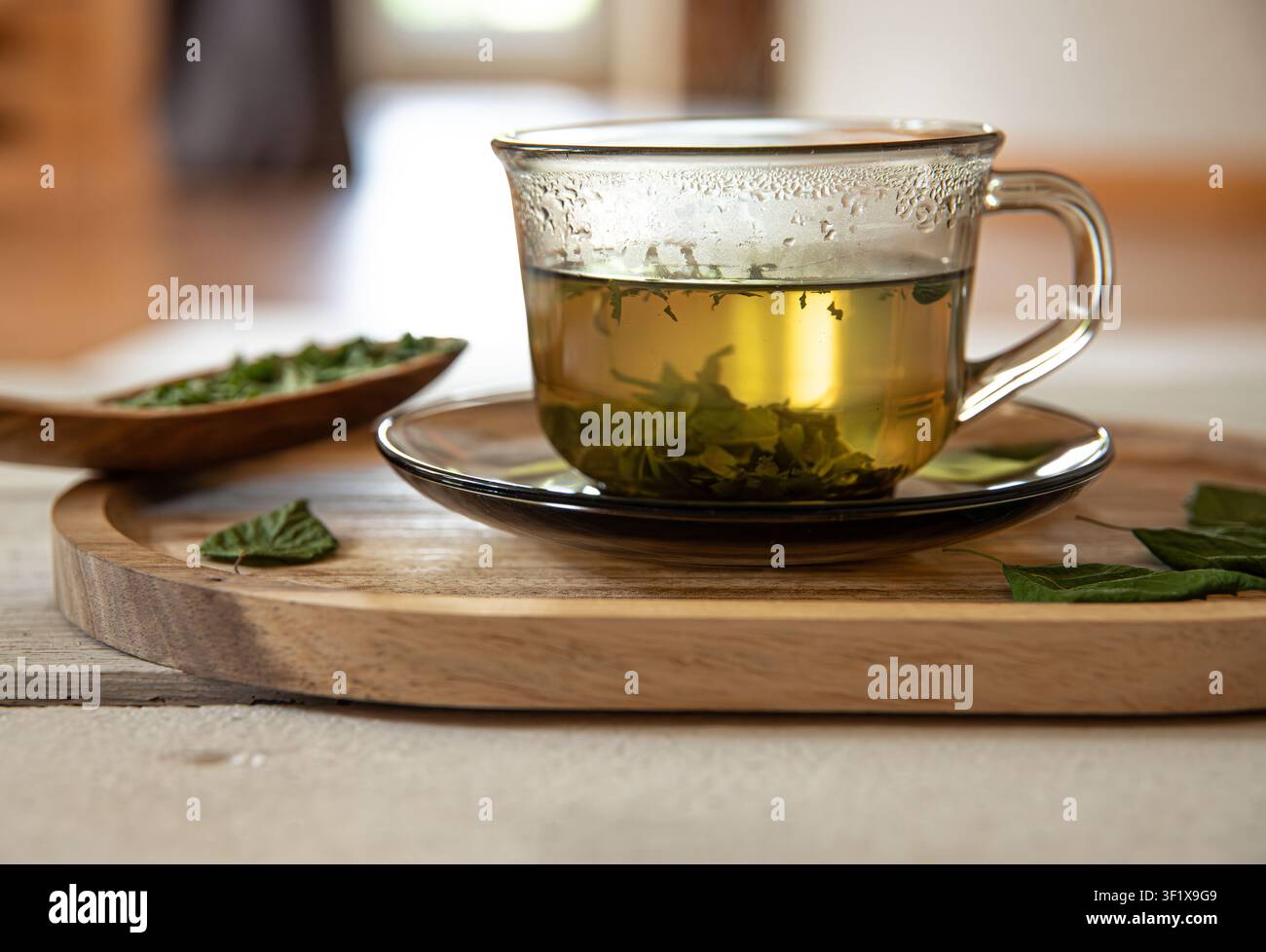 Thé en poudre de feuilles de bouleau séchées dans une tasse en verre, avec de la poudre de feuilles de Betula sur une cuillère en bois. Le verre repose sur une table de cuisine à domicile, éclairé en contre-plongée. Banque D'Images