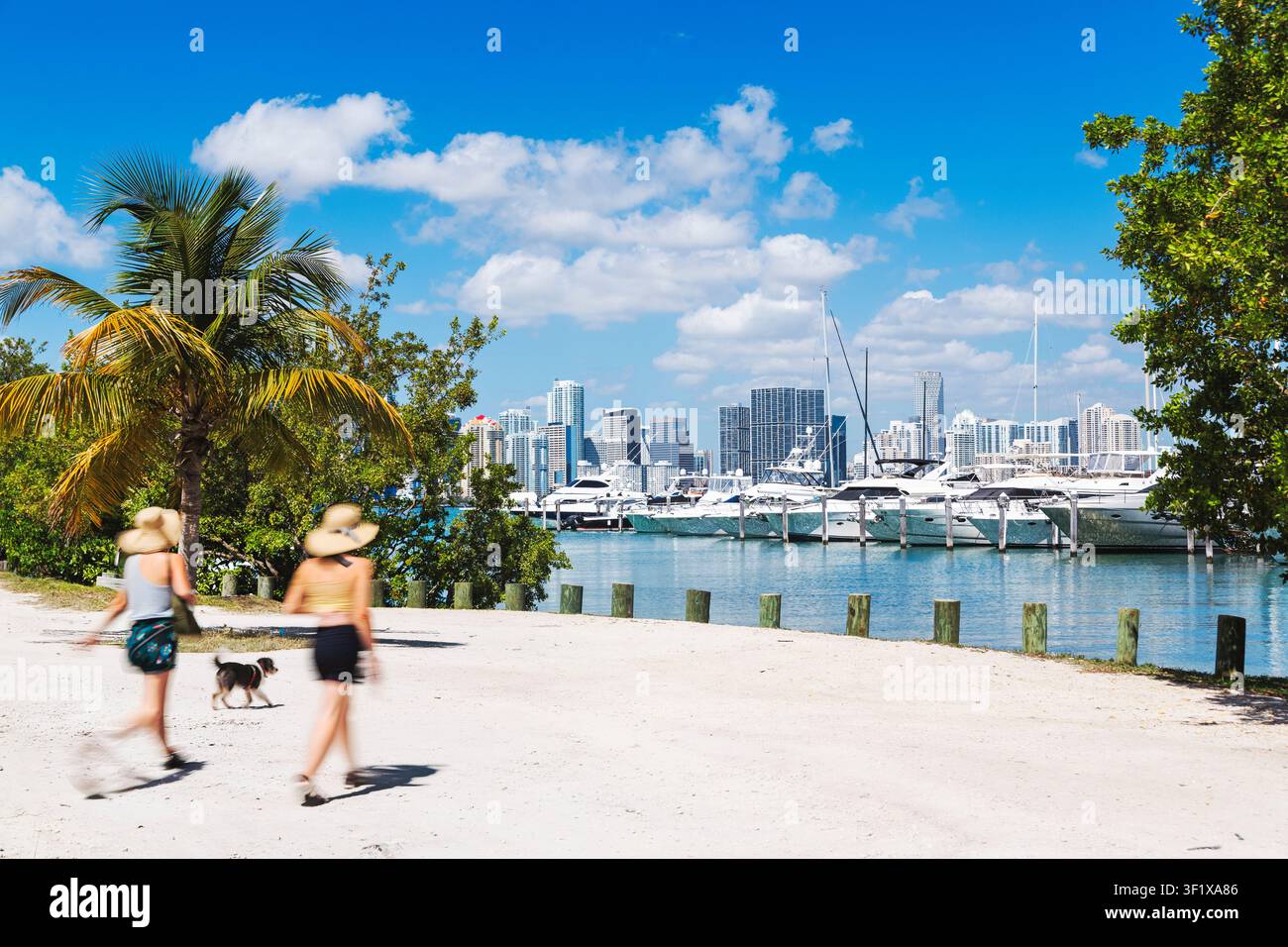 Deux personnes floues marchant leur chien le long du front de mer sablonneux de Watson Island, avec une vue pittoresque sur la skyline du centre-ville de Miami. Banque D'Images
