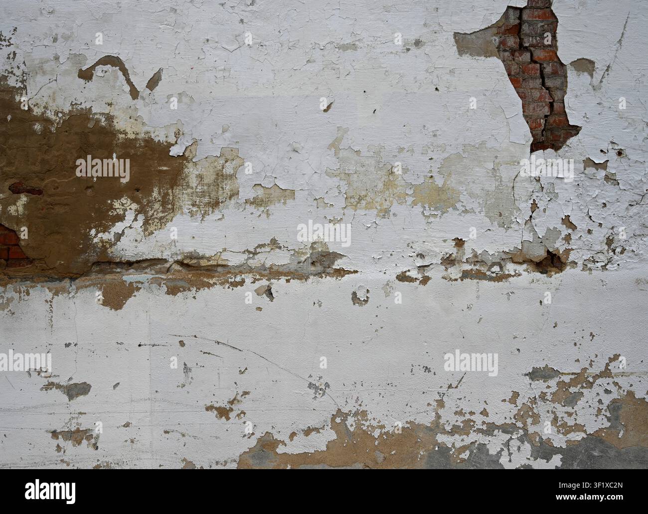 Gros plan horizontal d'une surface murale peinte en blanc érodée avec de la peinture craquelée et écaillée Banque D'Images