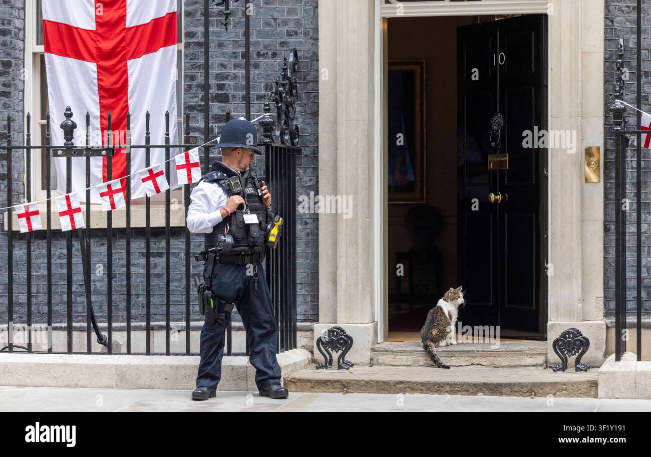 Londres, Royaume-Uni. 15 juillet 2026. Larry le Chat, Chef des souris du Trésor, à Downing Street avec les fanions de l'Angleterre pour le match contre l'Argentine. Credit : Karl Black/Alamy Live News Banque D'Images