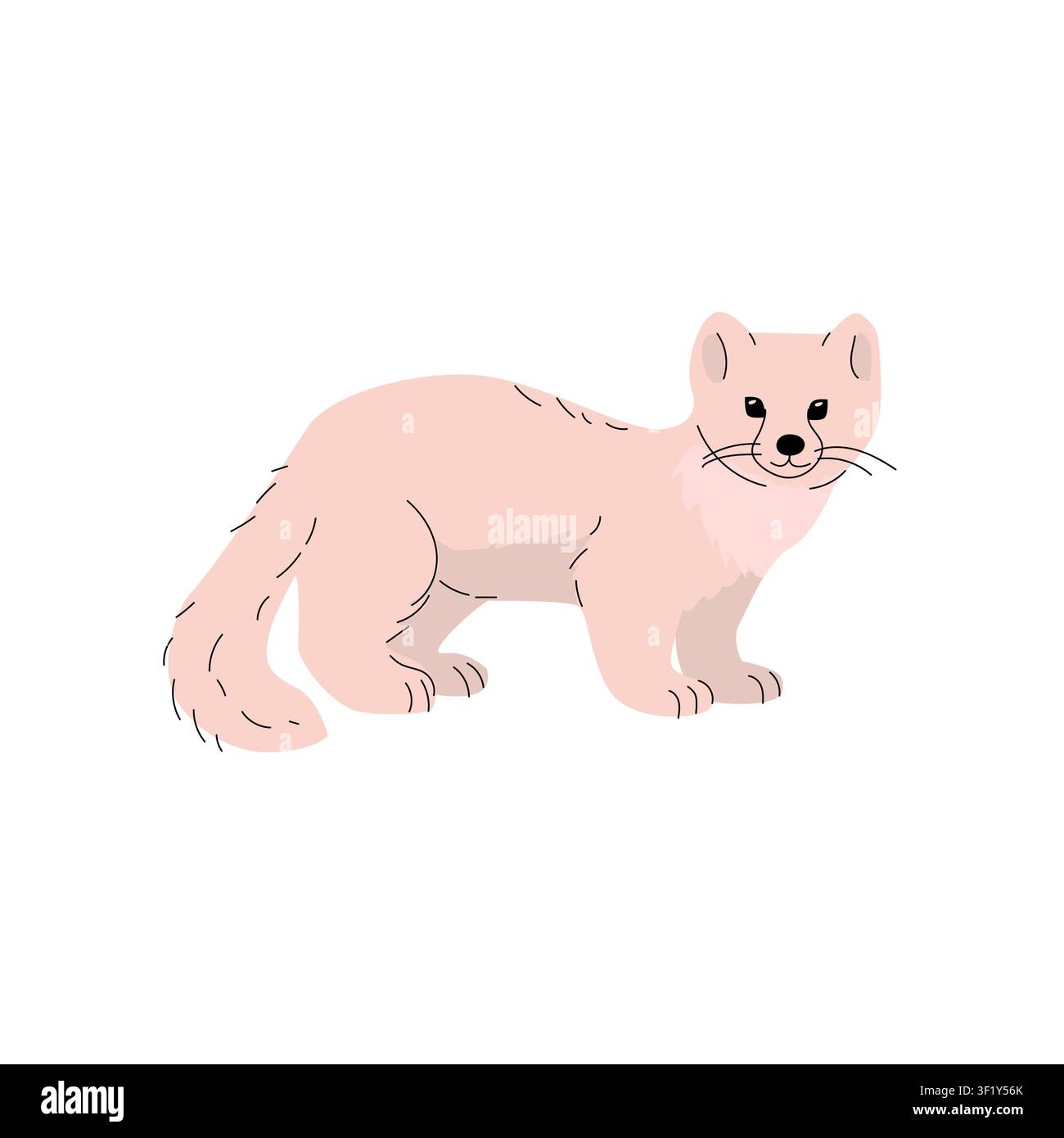 Illustration plate d'un renard arctique. Présente une fourrure beige crème, des oreilles arrondies, une queue duveteuse et des yeux noirs avec des moustaches. Idéal pour les thèmes de la faune sauvage Illustration de Vecteur