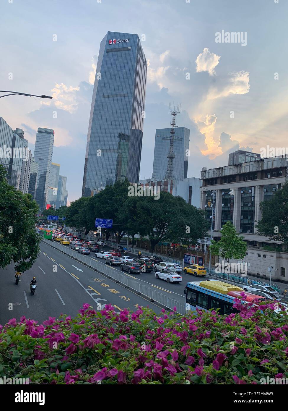 Paysage urbain de Guangzhou, en Chine, avec des gratte-ciel imposants, un trafic animé et des fleurs éclatantes au premier plan. Banque D'Images