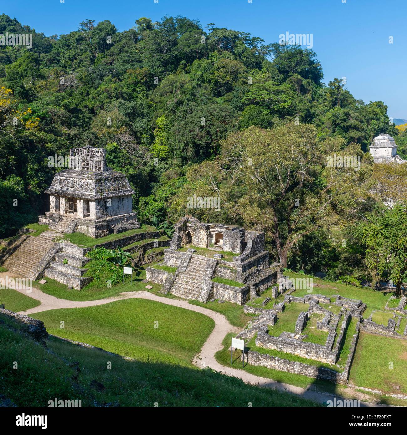 Ruines mayas de Palenque en été, Chiapas, Mexique. Banque D'Images