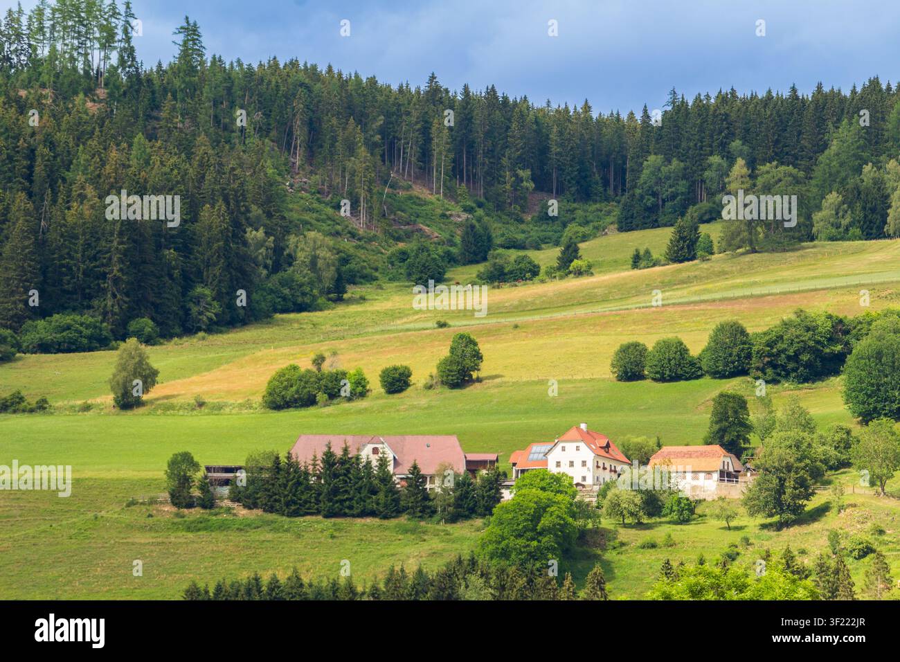 Terre cultivable et fermes sur une pente près de St. Marein bei Neumarkt, Styrie, Autriche Banque D'Images