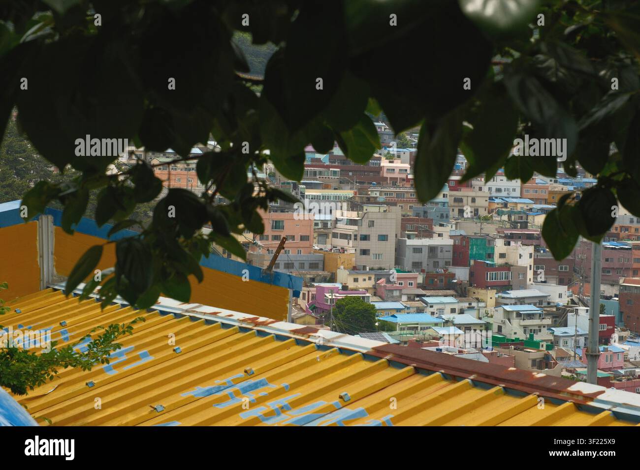 Maisons colorées sur les collines du village culturel de Gamcheon encadrées par des feuilles au-dessus d’un toit de tuiles jaunes, Busan, Corée du Sud Banque D'Images