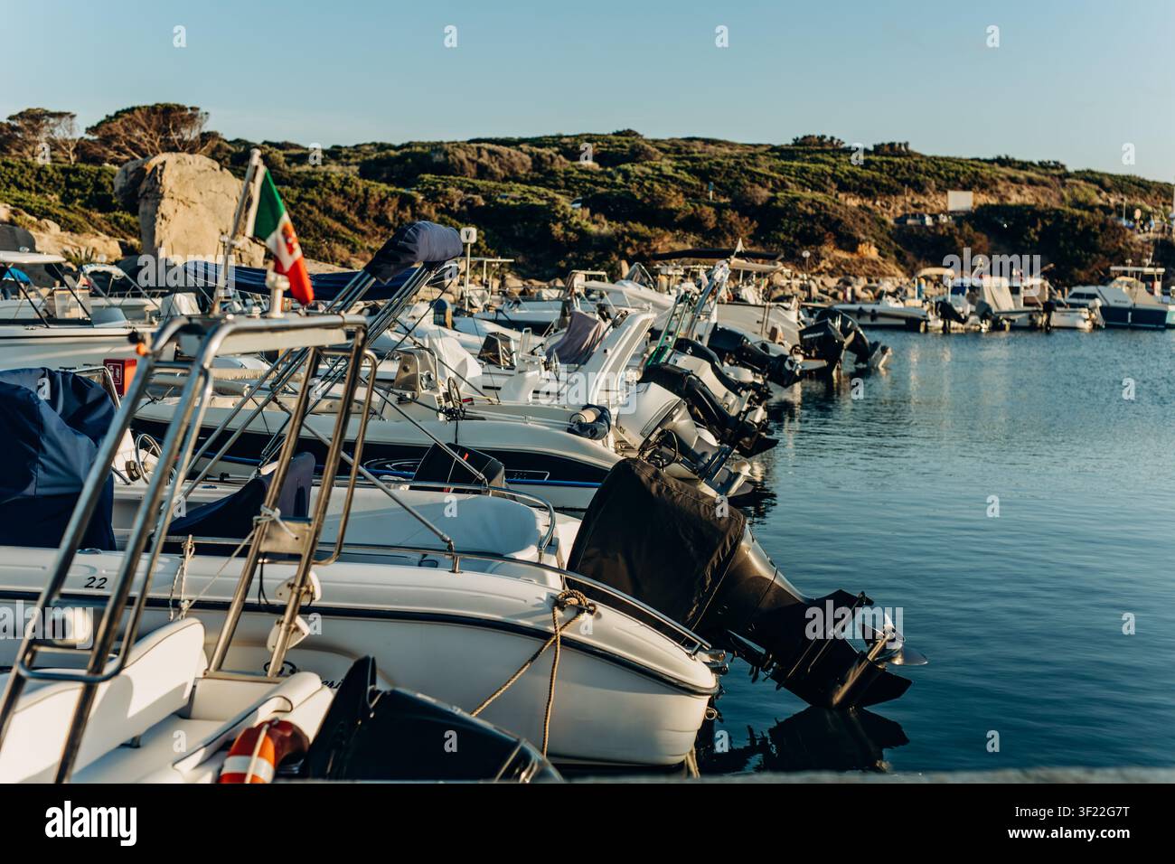 Bateaux amarrés avec moteurs hors-bord et un drapeau italien dans une marina en contrebas d'une colline verdoyante. Tourisme côtier italien et services de location de bateaux faisant la promotion Banque D'Images