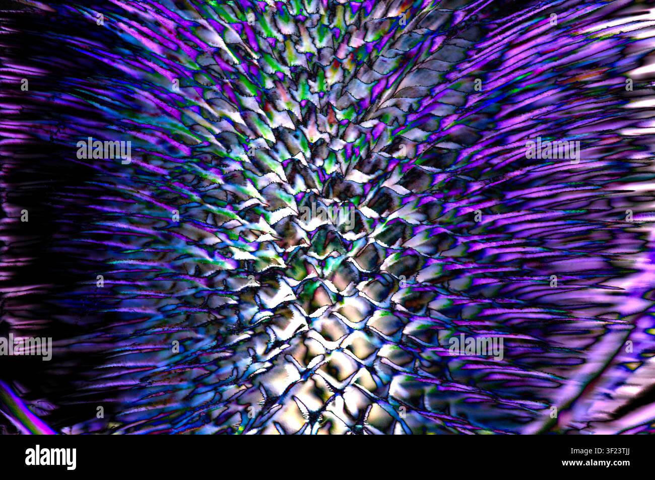 Motif vibrant violet-bleu-vert et blanc de formes entrelacées Éléments épineux rayonnant du centre Vue rapprochée Studio Banque D'Images