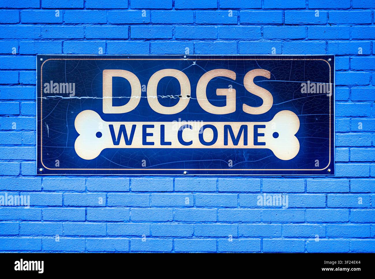 Panneau « Chiens bienvenus » sur le mur d'un café à Hunstanton, Norfolk, Royaume-Uni Banque D'Images