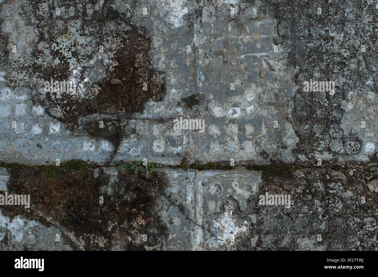 Close-up de carreaux de béton fissés et érodés avec texture grunge, peinture écaillée et mousse, montrant la décrépitude urbaine et les motifs de surface rustiques Banque D'Images