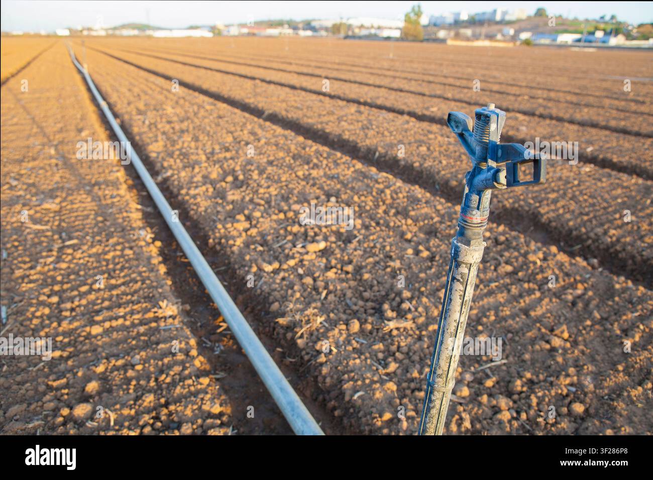 Grossissement d'un arroseur sur le champ Banque D'Images