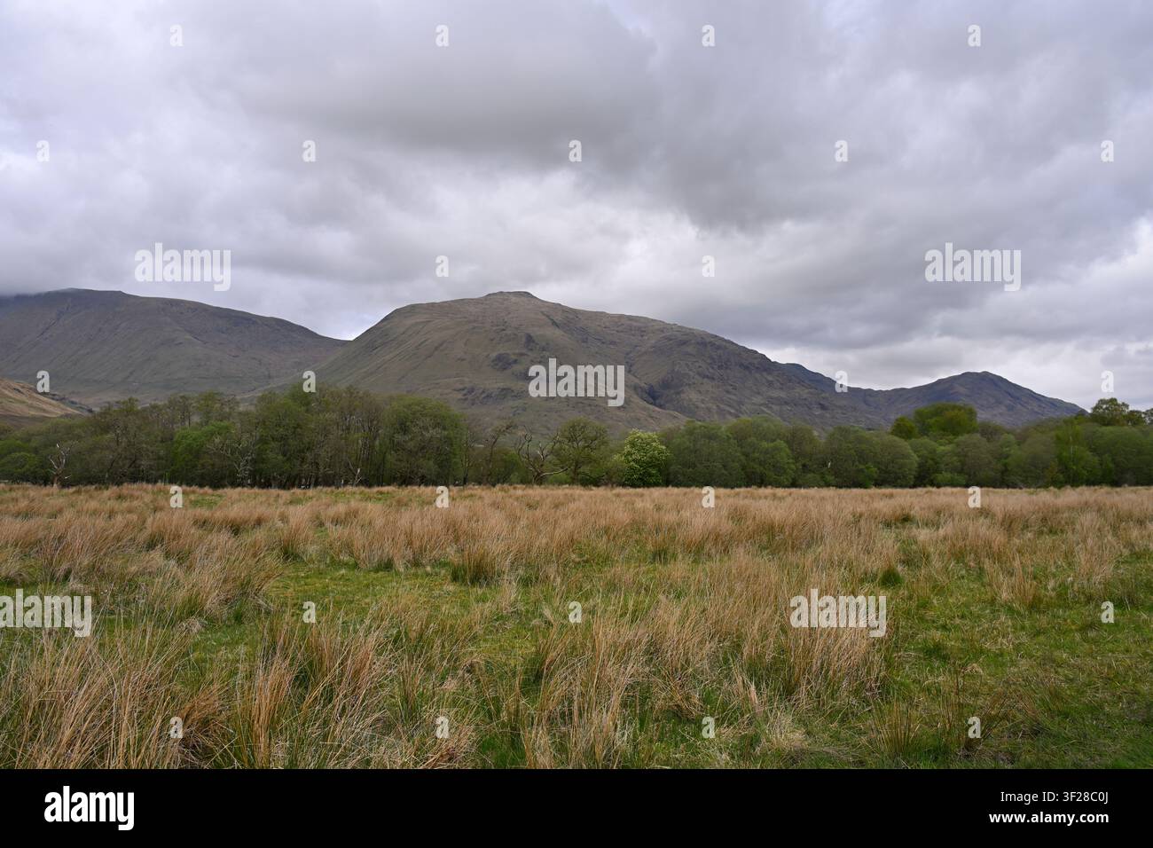 Paysage des Highlands écossais, près du Loch Awe, Écosse, Royaume-Uni, mai Banque D'Images