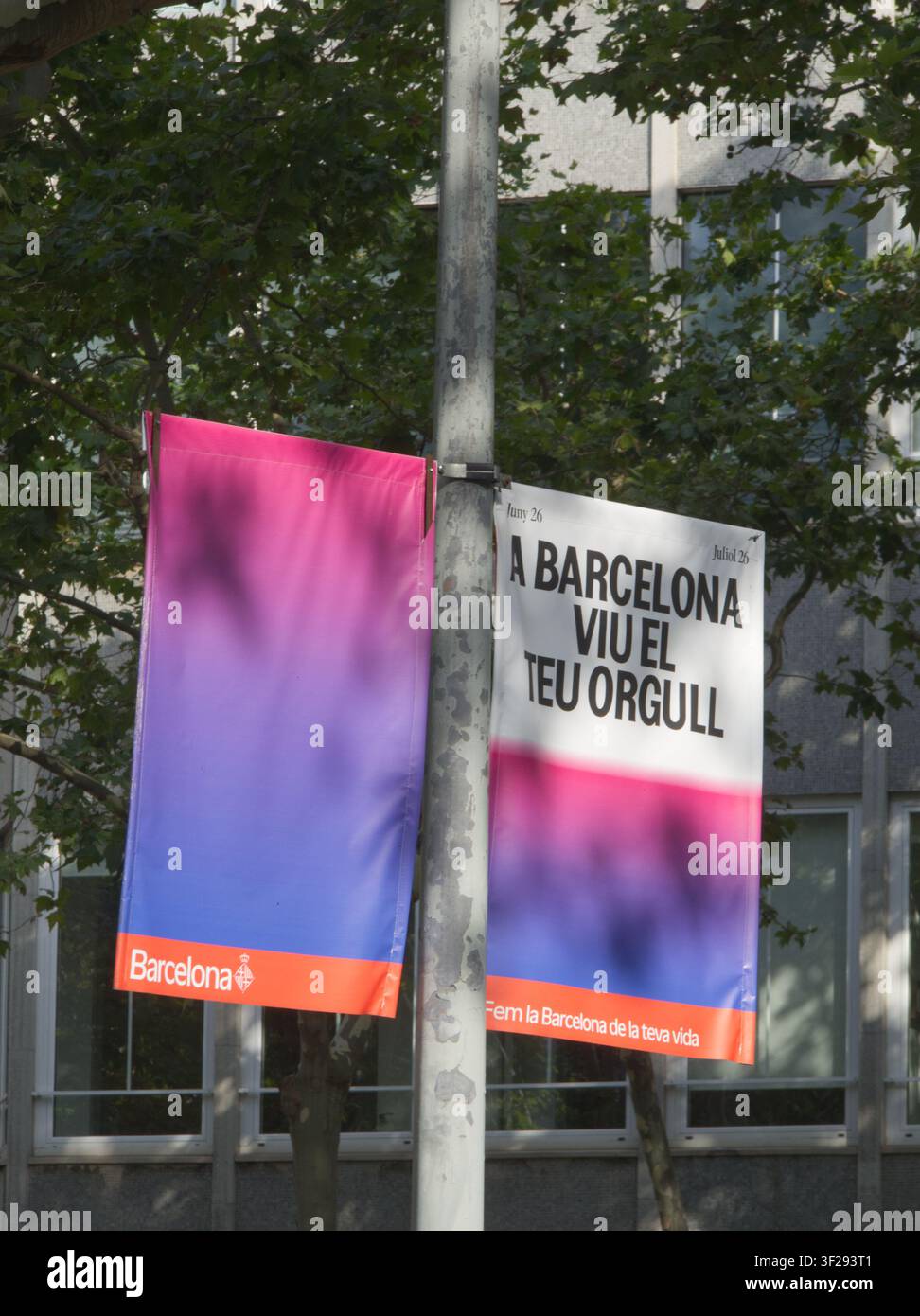 Bannières pour le Barcelona Pride 2026, représentant le drapeau de la fierté bisexuelle. Langue catalane, la traduction anglaise est "Vivez votre fierté à Barcelone". Banque D'Images