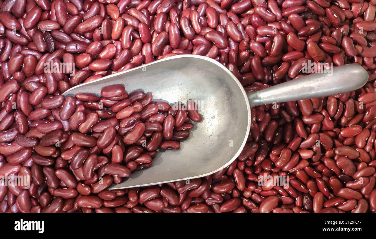 Une vue rapprochée en plongée de haricots rouges secs crus avec une cuillère en métal posée dessus Banque D'Images