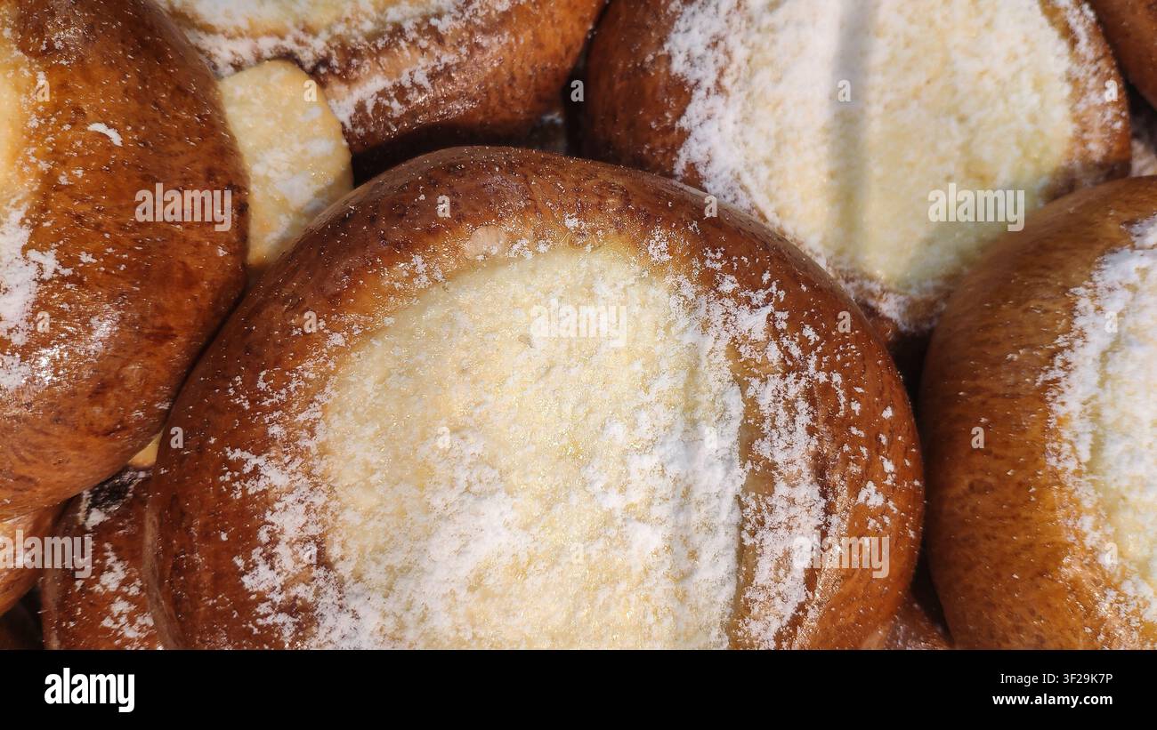 Une vue rapprochée de petits pains dorés cuits au four, garnis de fromage cottage et légèrement saupoudrés de sucre en poudre. Banque D'Images